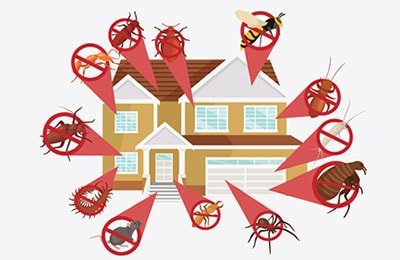 general-pest-control-spray-ludhiana